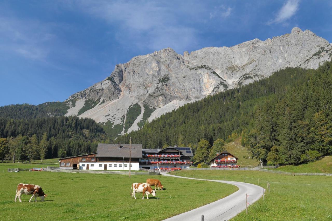 Feichtlehnerhof Bed & Breakfast Ramsau am Dachstein Exterior photo
