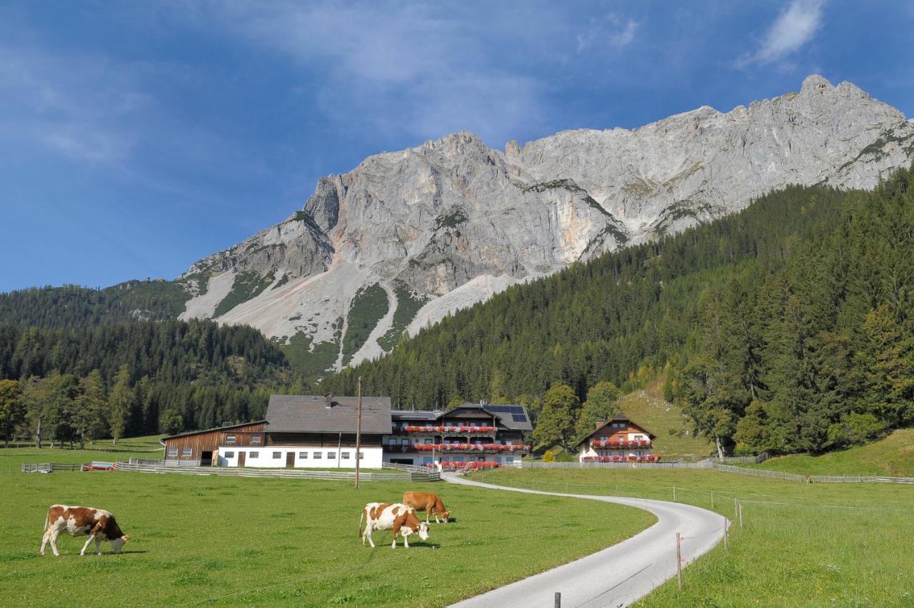 Feichtlehnerhof Bed & Breakfast Ramsau am Dachstein Exterior photo