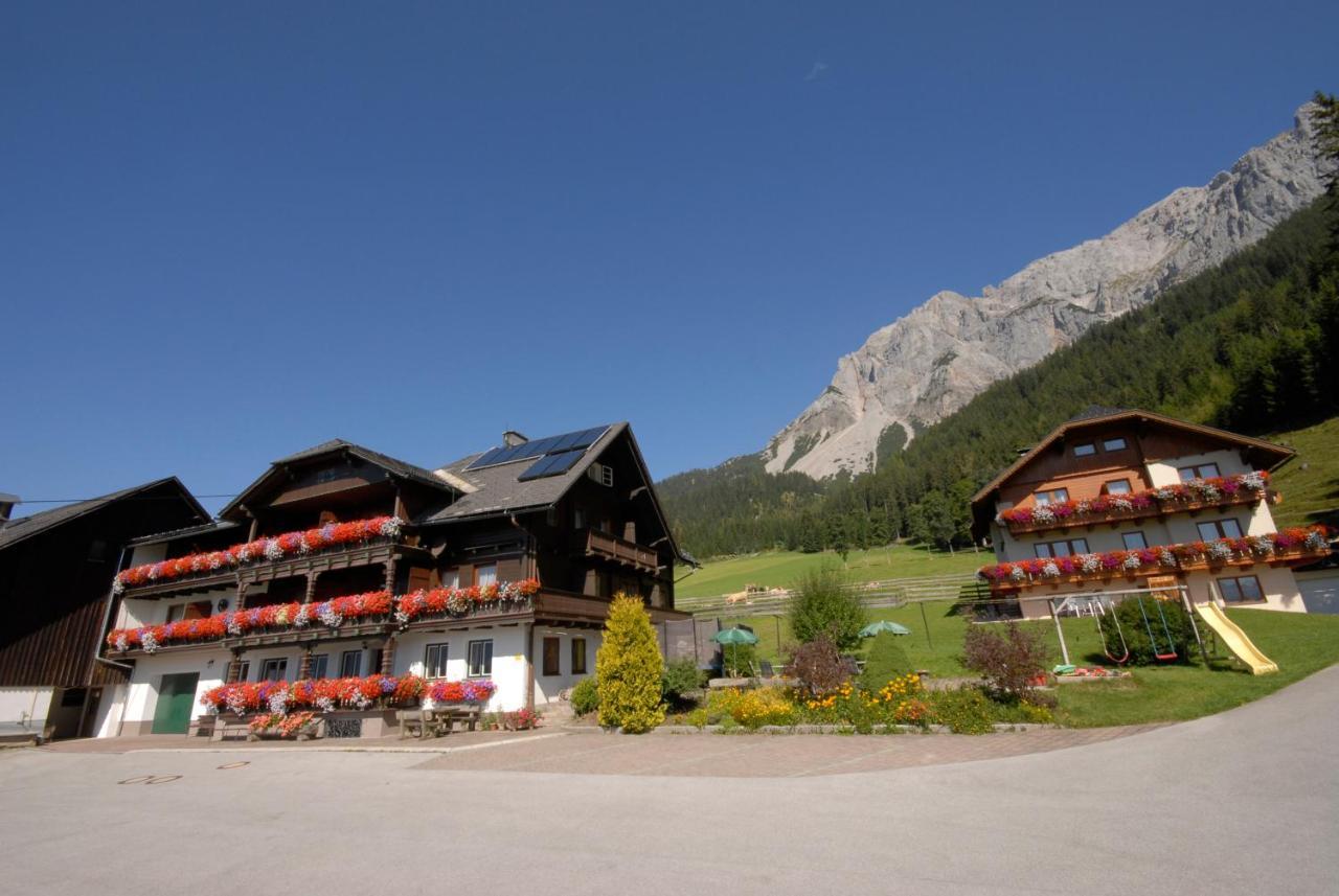 Feichtlehnerhof Bed & Breakfast Ramsau am Dachstein Exterior photo